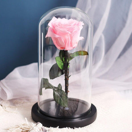 Timeless Romance: Stunning Preserved Rose in Glass Cloche - Authentic Bloom, Lasting Elegance, Enduring Beauty