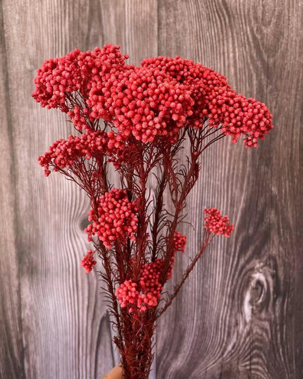 Timeless Treasures: Preserved Millet Flowers for Elegant Wedding Decor