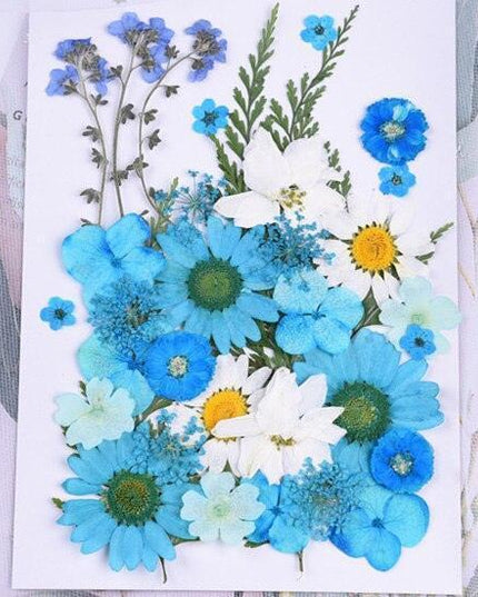 Luxurious Pressed Floral Collection: Aesthetic Inspirations for Creative Projects