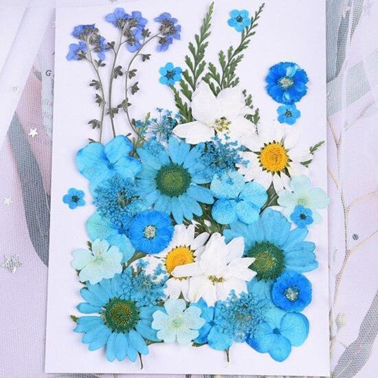 Luxurious Pressed Floral Collection: Aesthetic Inspirations for Creative Projects