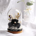 Enchanted LED Rose Cloche - Timeless Luxury and Everlasting Grace