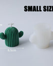 SMALL Cactus