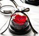 Enchanted Eternal Rose in Glass Dome with LED Lights: Sophisticated Elegance for the Refined