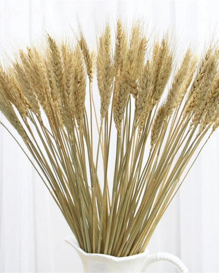 Bohemian Bliss: Dried Pampas & Bunny Tail Wheat Flower Bouquet - Set of 25
