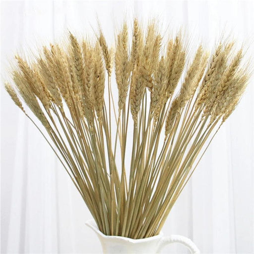 Rustic Charm: 25-Piece Wheat Flower Bouquet with Natural Pampas & Bunny Tail Grass