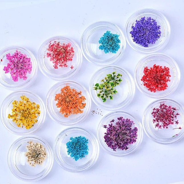 Botanical Elegance Nail Art Kit: Authentic Dried Flower Decoration Collection
