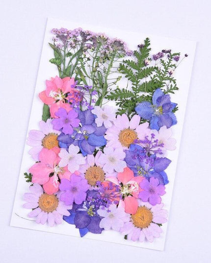 Luxurious Pressed Floral Collection: Aesthetic Inspirations for Creative Projects