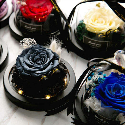 Eternal Enchantment Rose: A Symbol of Endless Love for Every Celebration