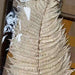 Eternal Green Fiddlehead Ferns Bundle, Set of 10 (25x40cm)
