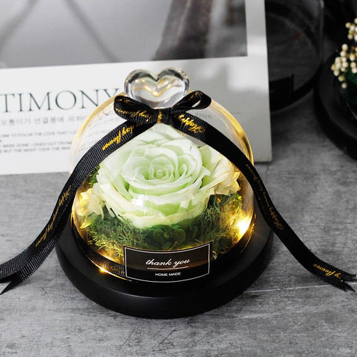 Beauty And The Beast Preserved Valentines Day Gift Exclusive Rose In Glass Dome With Lights Eternal Real Rose Mother&#39;s Day Gif-Home Décor›Flower & Plants›Everlasting & Preserved Fresh Flowers›Dried & Preserved Flora›Everlasting Flowers-Très Elite-009-Très Elite