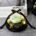 Enchanted Rose Glass Dome with Twinkling Lights