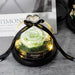 Enchanted Eternal Rose Glass Dome with Illumination