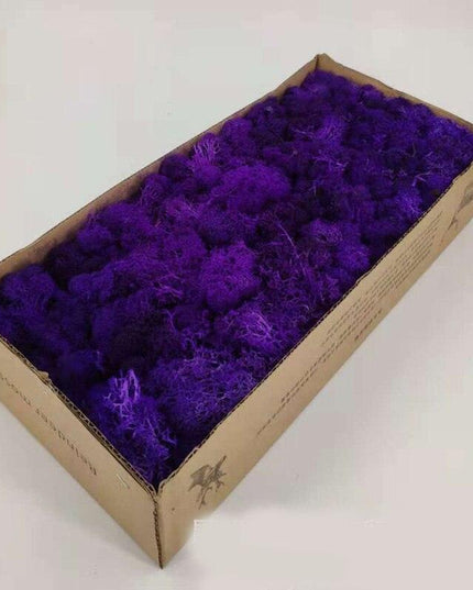 Lush Green Moss Wall Art: Nature's Timeless Beauty