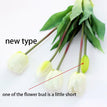 new type white