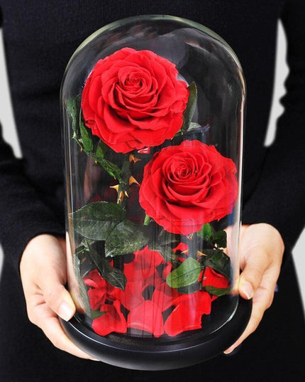Timeless Romance: Stunning Preserved Rose in Glass Cloche - Authentic Bloom, Lasting Elegance, Enduring Beauty
