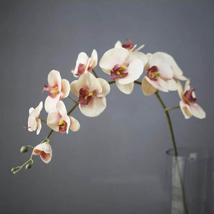 Luxurious 43.3" Silk Phalaenopsis Orchid Bouquet with 11 Realistic Blooms