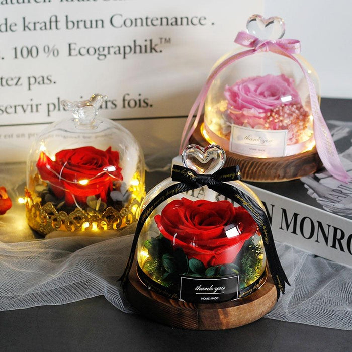 Enchanted Rose Glass Dome with Twinkling LED Lights