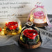 Enchanted Rose Glass Dome with Twinkling LED Lights