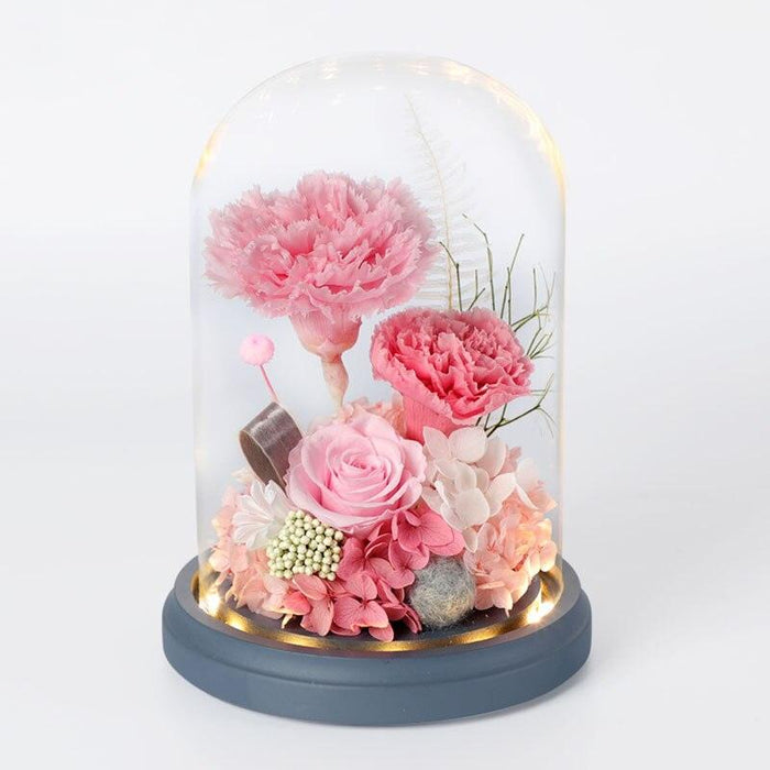 Enchanted Eternal Carnation Rose in LED Glass Dome - Romantic Valentine's Day Gift of Timeless Dried Blooms