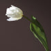 Luxurious Silk Parrot Tulip Floral Arrangement - Stunning Artificial Flower Collection