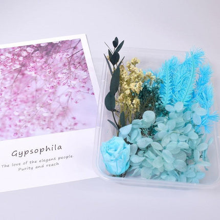 Eternal Floral Inspirations: Preserved Petals for Creative Expressions