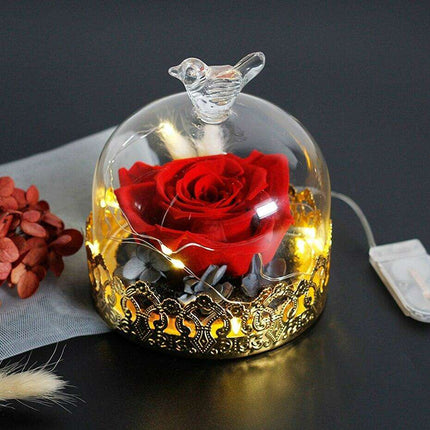 Timeless Elegance: Illuminated Red Roses in Glass Dome