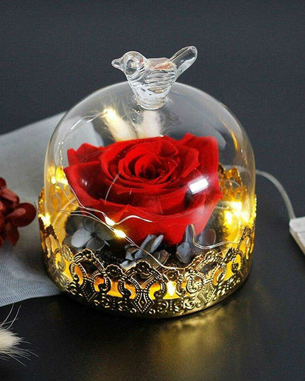 Timeless Elegance: Illuminated Red Roses in Glass Dome