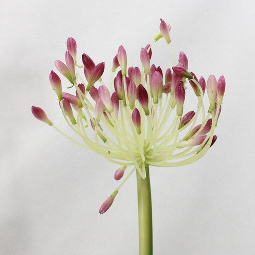 Elegant Lotus Bloom: Premium Silk Flower Arrangement for Home and Special Occasions