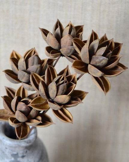 Luxurious Burgundy Dried Lotus Flower Head Set - 5 Exquisite Pieces for Home and Event Decor