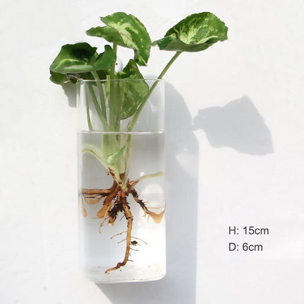 Nordic-Inspired Elegant Glass Hanging Vase for Stylish Home Accents