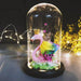 Meldel Immortal Rose Flower - Real Flower Glass Dome for Romantic Atmosphere