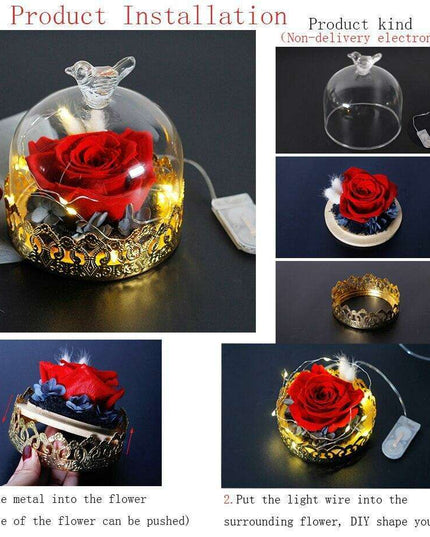 Timeless Elegance: Illuminated Red Roses in Glass Dome