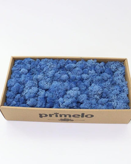 Lush Green Moss Wall Art: Nature's Timeless Beauty