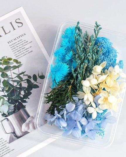 Eternal Floral Inspirations: Preserved Petals for Creative Expressions