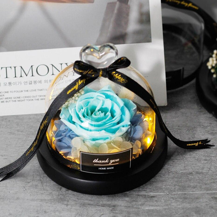 Captivating Glass Rose Lamp in Elegant Dome - A Cherished Emblem of Love