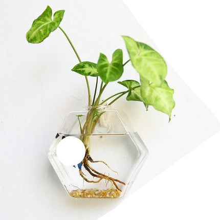 Nordic-Inspired Elegant Glass Hanging Vase for Stylish Home Accents