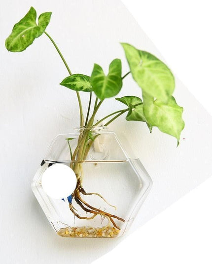 Nordic-Inspired Elegant Glass Hanging Vase for Stylish Home Accents