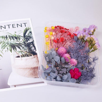 Eternal Floral Inspirations: Preserved Petals for Creative Expressions