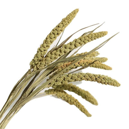 Bohemian Charm Dried Floral Arrangement Set - Elegant Decor for Home and Events