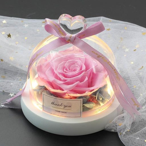 Beauty and The Beast Eternal Real Rose eternelle Flowers With The Best Mother&#39;s Day Romantic Valentines Day christmas Gifts-Home Décor›Flower & Plants›Everlasting & Preserved Fresh Flowers›Dried & Preserved Flora›Everlasting Flowers-Très Elite-009-Très Elite