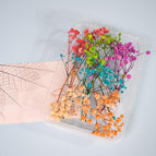 No.13 6 colors random