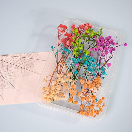 Eternal Floral Inspirations: Preserved Petals for Creative Expressions