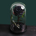 Eternal Beauty: Preserved Rose in Glass Dome Display