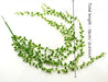 Green Faux Succulent Vine with Cascading Beauty