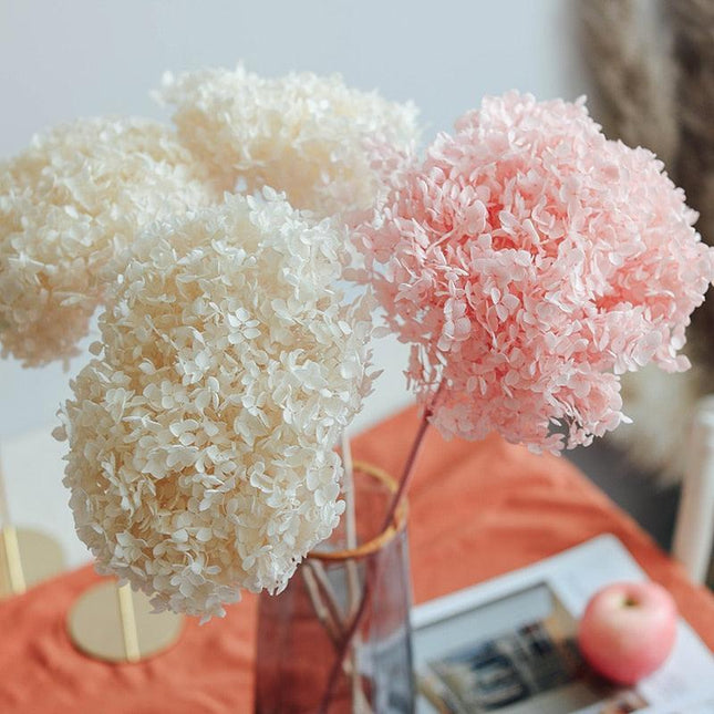 Hydrangea Elegance: Ultimate Dried Flower Arrangement Kit