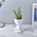 Elevate Your Home Decor with Elegant White Ceramic Hanging Planters