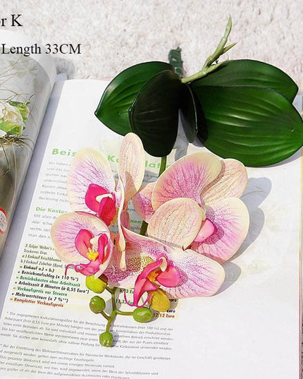 Elegant White Orchid Blooms for Upscale Home and Event Styling