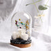 Illuminated Romance: The Enchanted LED Rose Dome
