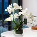 European Boreal Inspired Artificial Butterfly Orchid Decor Piece