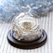 Eternal Real Rose with Gold Edging Preserved in Glass Dome